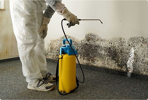 services-mold-damage Mold Damage Cleanup